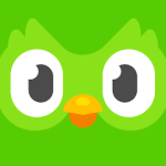 شرح تطبيق دوولينجو Duolingo